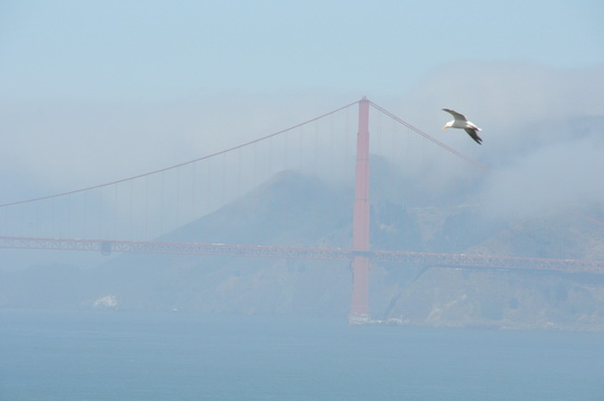 West Coast Golden Gate Bridge