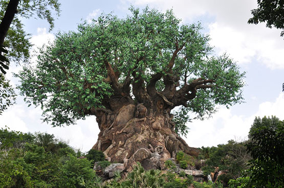 Walt Disney World Animal Kingdom