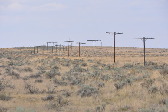 Route66 Arizona Petrified Forest Route 66