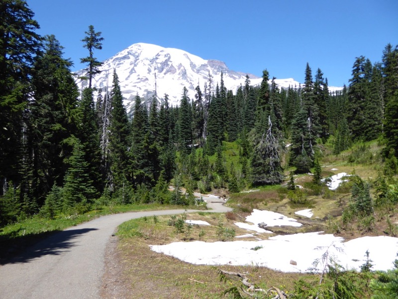 Mount Rainier National Park Nisqually Vista Trail
