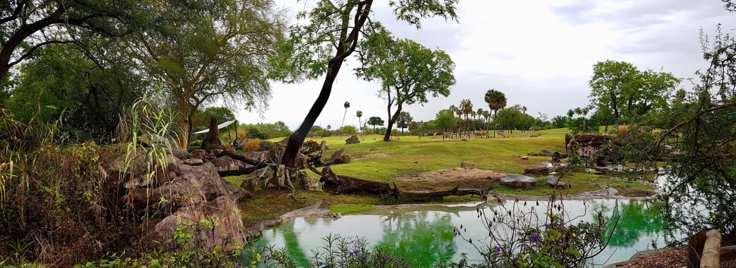 Busch Gardens Tampa - Serengeti Plain