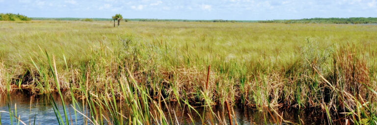 Everglades National Park