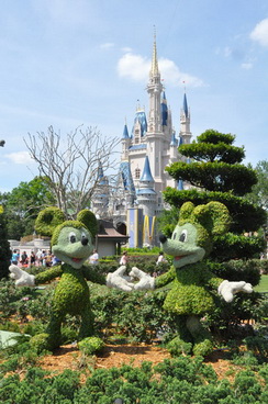 Florida Walt Disney World Magic Kingdom