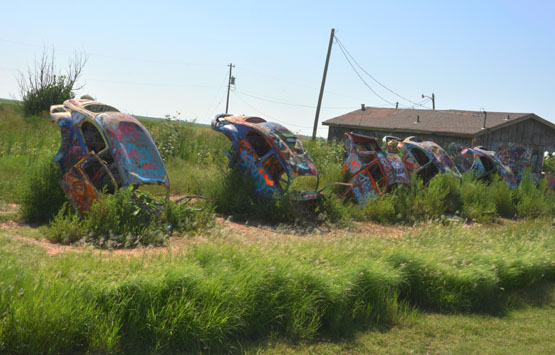 Route66 Texas Bug Farm