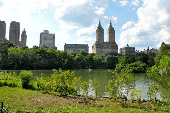 New York Central Park